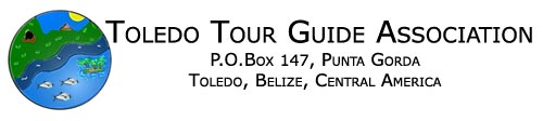 Toledo Tour Guide Association  (click for more information)